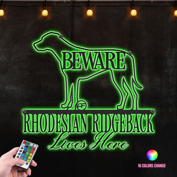 Beware Rhodesian Ridgeback Dog Lives Here Metal Wall Art RGB Led light backlit